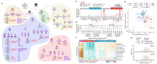 15422476833107.png image.png