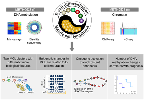 15422482239747.png image.png