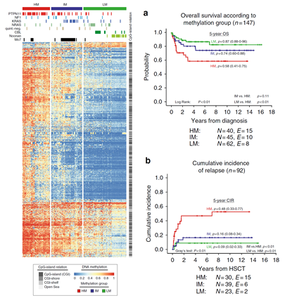 15422482954606.png image.png