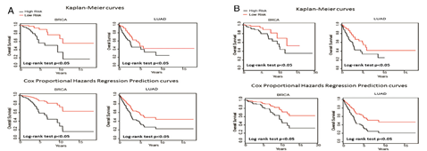 15422484486807.png image.png