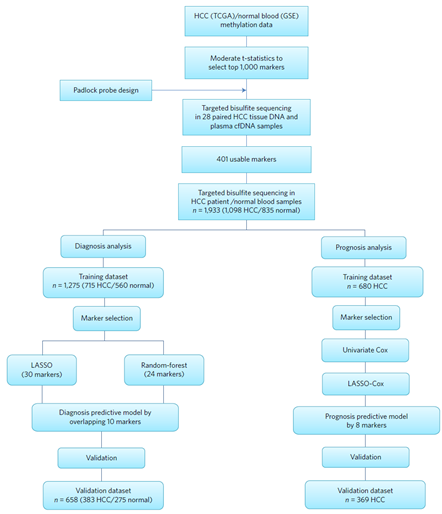 15422484656962.png image.png