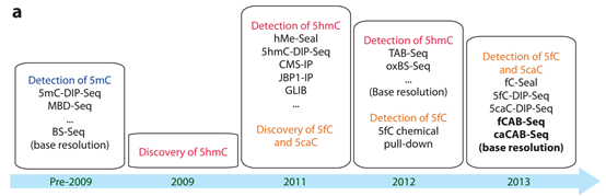 16112109681130.png image.png