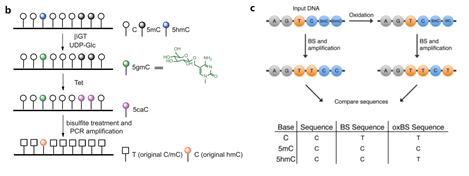 16112109725403.png image.png