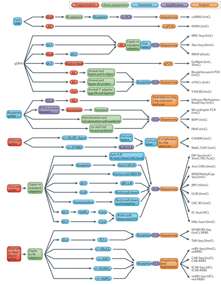 16112110303671.png image.png