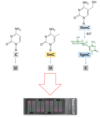 16112110531084.png image.png