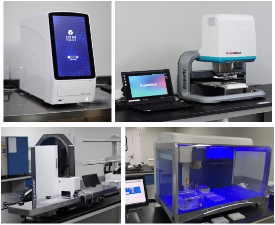 16879225312065.jpg 41862923.jpg